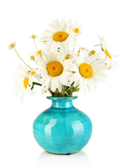 Beautiful bouquet chamomiles in vase isolated on white