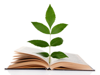 Book with plant isolated on white