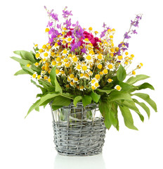 Bouquet of wild flowers in wicker vase, isolated on white