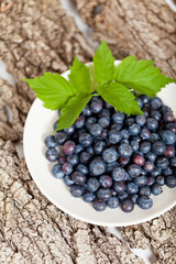 Plate of blueberries