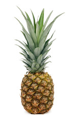One whole ripe pineapple (isolated)