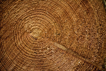 Naklejka premium wood backgroung