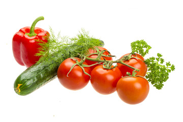 Red ripe tomatoes on the branch