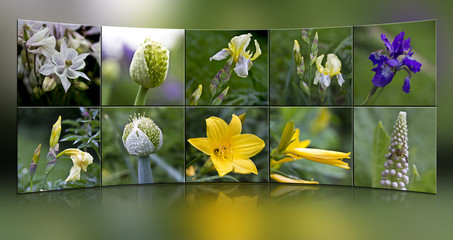 Fototapete bei efototapeten.de bestellen   