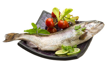 Fresh raw rainbow trout