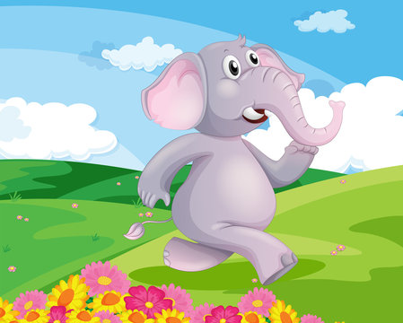 An elephant running at the hill with flowers