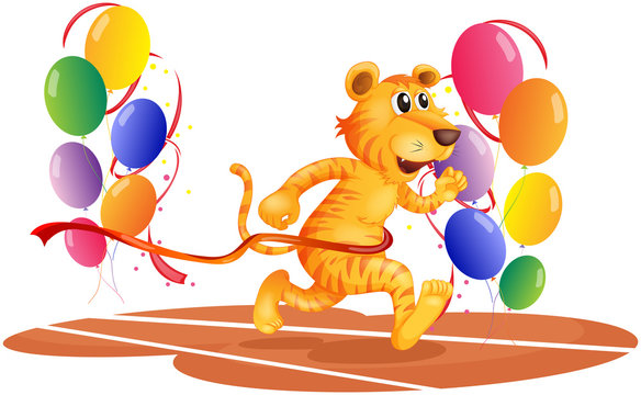 A tiger running with colorful balloons