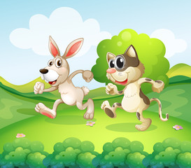 A bunny and a cat running