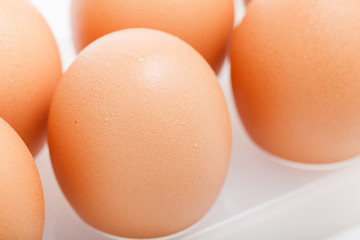 Close up eggs in plastic tray