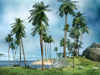 Brzeg tropikalnej wyspy