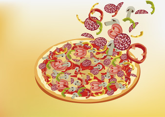 Pizza,   vector illustration