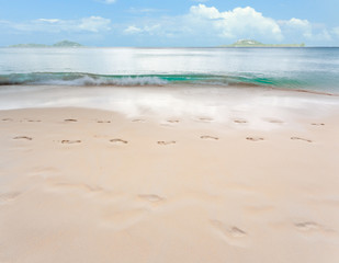 plage de sable fin aux Seychelles