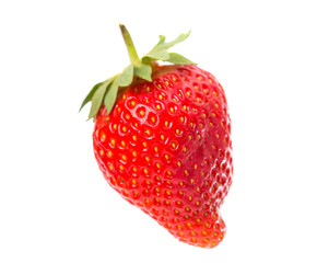 Strawberry isolated