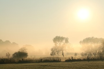 Naklejka na ściany i meble Rural landscape in a misty October morning