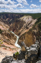 Canyon delle cascate Yellowstone nello Yellowstone National Park