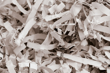 Papierschnitzel Nahaufnahme