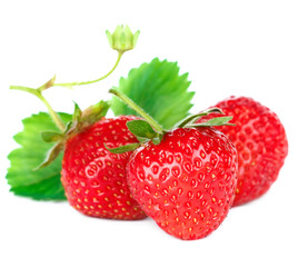 Beautiful ripe red strawberries with leaves.