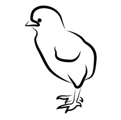 Chicken silhouette isolated on white