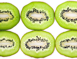 Fototapeta premium Green kiwi background