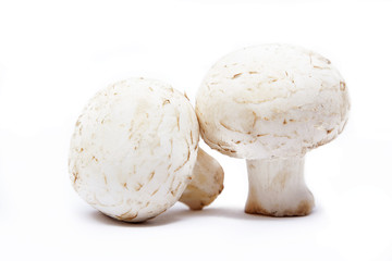 mushrooms