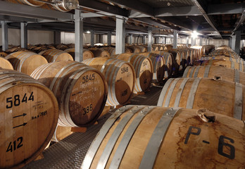 Cognac barrels in cellar