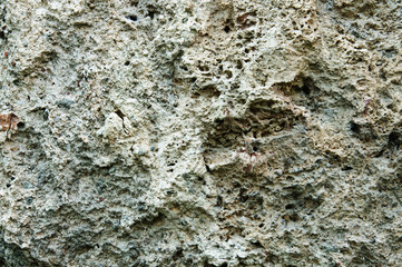 Stone texture