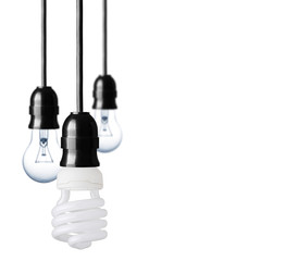 Eco concept with bulbs