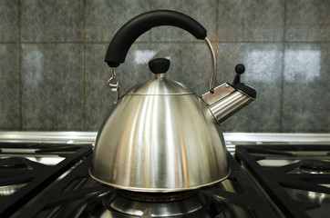 Stainless steel kettle