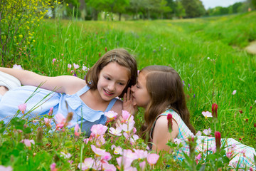 twin sisters whispering ear on spring flowers meadow