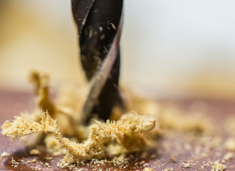 Brad point wood drill bit drilling a wood surface