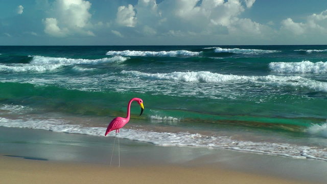 Plastic flamingo on Isabel Beach in Puerto Rico