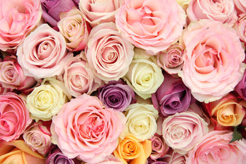 Obraz na płótnie Canvas Mixed pastel roses