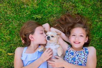 twin sisters playing with chihuahua dog lying on lawn
