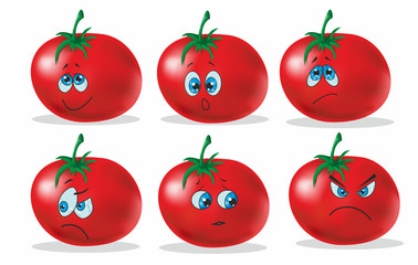 illustration of tomato on a white background