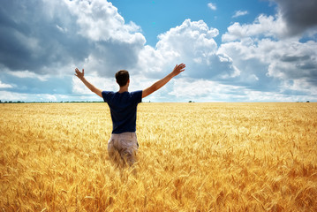 Man in meadow of wheat © GIS