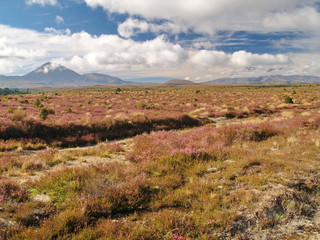 Mount Ngauruhoe in New Zealand