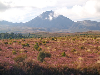 Fototapeta premium Mount Ngauruhoe in New Zealand
