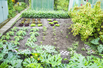 Vegetable Garden Patch