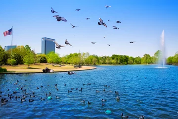 Schilderijen op glas Houston Mc govern lake with spring water © lunamarina