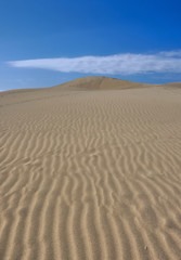 Sanddüne bei Maspalomas, Gran Canaria