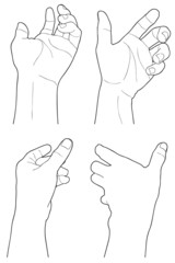 adult man hand to hold something, isolated on white