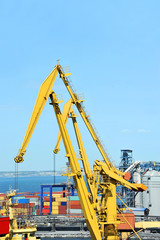 Port cargo crane and container over blue sky background