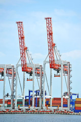 Port cargo crane and container over blue sky background