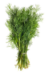 Green dill