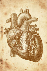 cursory drawing heart on old paper background - 52907395