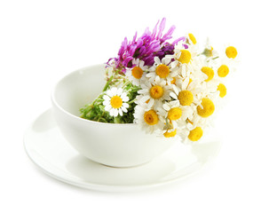 Obraz na płótnie Canvas Beautiful wild flowers in .cup, isolated on white