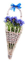 Beautiful bouquet of cornflowers in basket, isolated on white