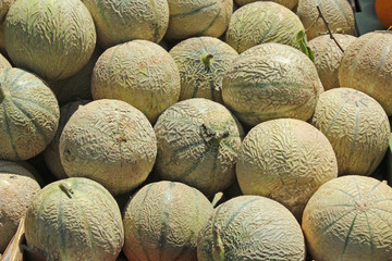 Fototapeta premium Etalage de melons