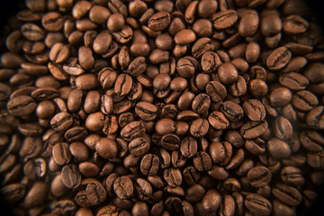 Fototapeta premium Ziarno kawy