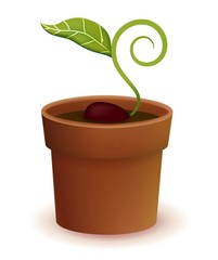 Plant Life Cycle - Vector File EPS10